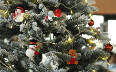 Ako si vybrať ten správny vianočný stromček?