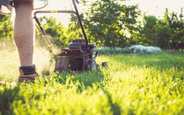 Elektrická, benzínová alebo AKU kosačka na trávu – ktorá je tá NAJ?